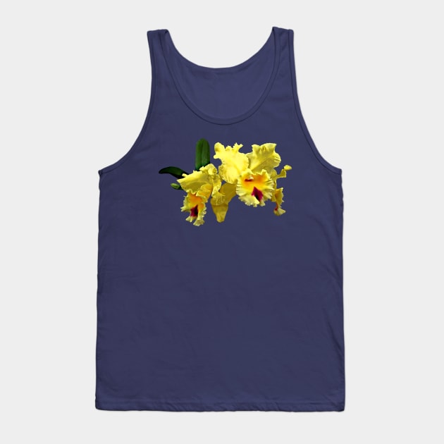 Two Yellow Cattleya Orchids Tank Top by SusanSavad